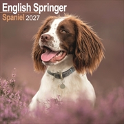 Buy English Springer Spaniel Wall