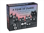 Buy A Year of Purrs 2027 Day-to-Day Calendar
