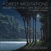 Buy Forest Meditations 2027 Wall Calendar / Meditaciones del Bosque 2027 Calendario : Paintings and Wisd