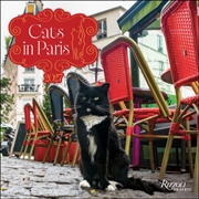 Buy Cats in Paris 2027 Wall Calendar