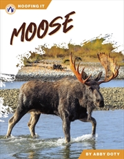 Buy Moose