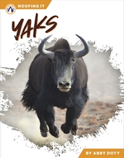 Buy Yaks
