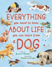 Buy Everything You Need to Know About Life You Can Learn from a Dog