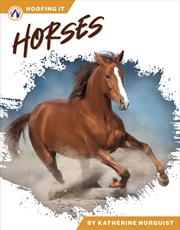 Buy Horses