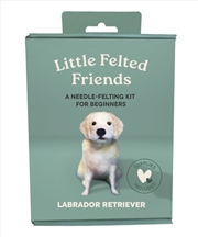 Buy Little Felted Friends: Labrador Retriever : Dog Needle-Felting Beginner Kits with Needles, Wool, Sup
