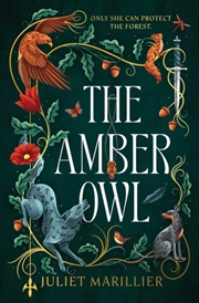 Buy The Amber Owl : Volume 1
