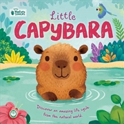 Buy Little Capybara: Little Nature Stories