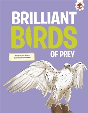 Buy Brilliant Birds of Prey