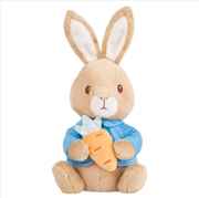Buy Peter Rabbit Holding Carrot Soft Toy