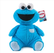 Buy Sesame Street Oh So Snuggly Cookie Monster