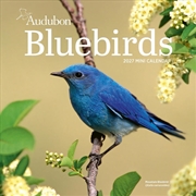 Buy Audubon Bluebirds Mini Wall Calendar 2027