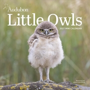Buy Audubon Little Owls Mini Wall Calendar 2027