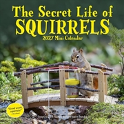 Buy Secret Life of Squirrels Mini Calendar 2027