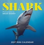 Buy Shark Mini Wall Calendar 2027