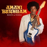 Buy Roots & Wings