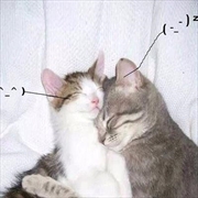 Buy I Love You So!