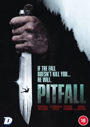 Buy Pitfall (REGION 2)