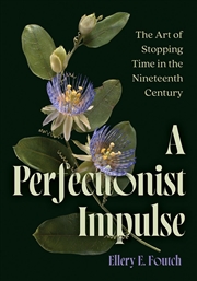 Buy A Perfectionist Impulse