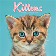 Buy Kittens Mini Calendar