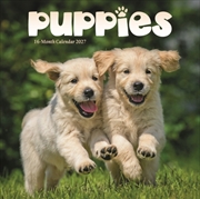 Buy Puppies Mini Calendar