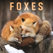 Buy Foxes (PFP) Wall Calendar