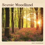Buy Scenic Woodland Wall Calendar