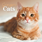 Buy Ginger Cats (PFP) Wall Calendar