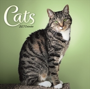 Buy Cats Wiro Wall Calendar