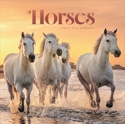Buy Horses Wiro Wall Calendar