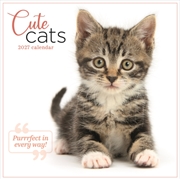 Buy Cute Cats Wall Calendar (PFP)