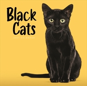 Buy Black Cats (PFP) Wall Calendar