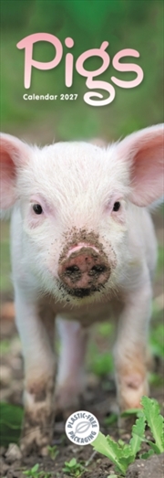 Buy Pigs (PFP)Slim Calendar
