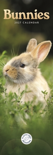 Buy Bunnies (PFP) Slim Calendar