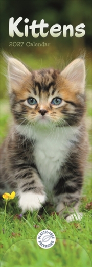 Buy Kittens (PFP)Slim Calendar