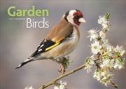 Buy Garden Birds (PFP) A4 Calendar