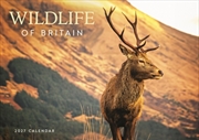 Buy Wildlife of Britain (PFP) A4 Calendar