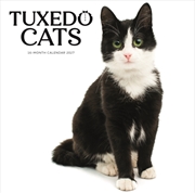 Buy Tuxedo Cats SS ML Wall Calendar
