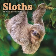 Buy Sloths M (Sunday Start)
