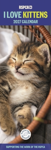 Buy RSPCA, I Love Kittens Slim Calendar (PFP)