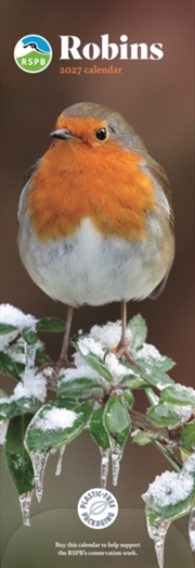 Buy RSPB Robins (PFP) Slim Calendar