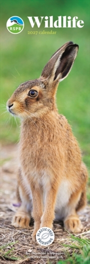 Buy RSPB Wildlife (PFP) Slim Calendar