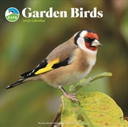 Buy RSPB Garden Birds (PFP) Wall Calendar