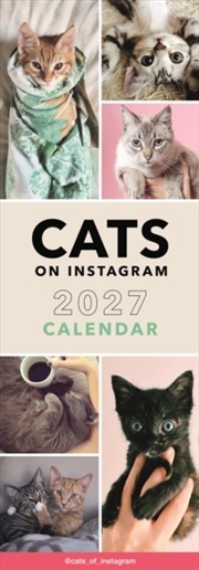 Buy Cats on Instagram Slim Calendar