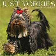 Buy Yorkies 2027 Wall Calendar