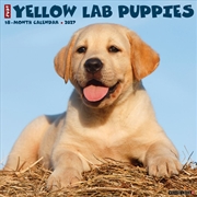 Buy Yellow Lab Puppies 2027 Wall Calendar