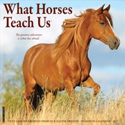 Buy What Horses Teach Us 2027 Wall Calendar