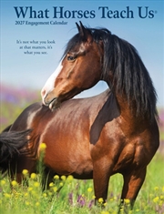 Buy What Horses Teach Us 2027 Engagement Calendar