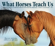 Buy What Horses Teach Us 2027 Box Calendar