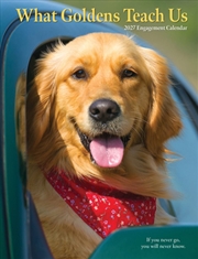 Buy What Goldens Teach Us 2027 Engagement