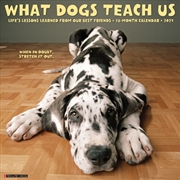 Buy What Dogs Teach Us 2027 Wall Calendar